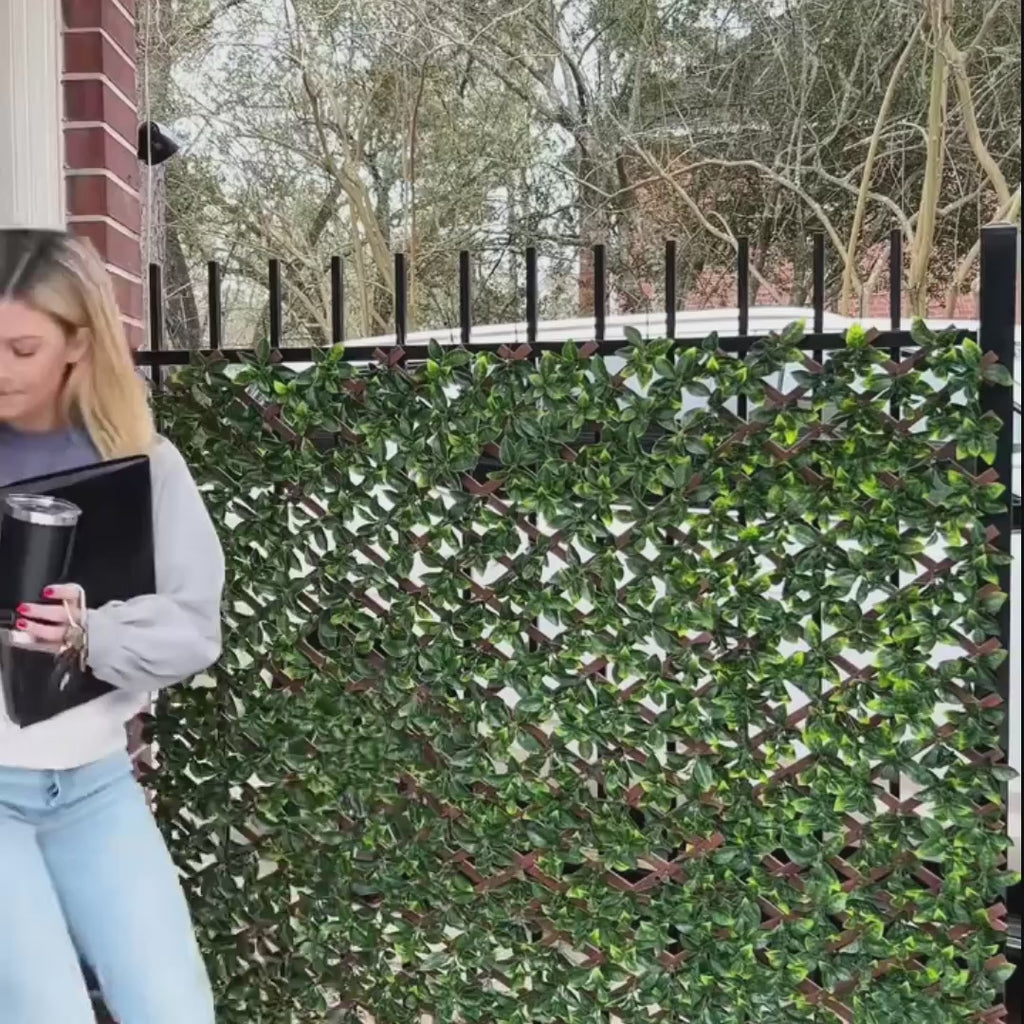 Le Lisseur Strnd™ - Édition Voyage